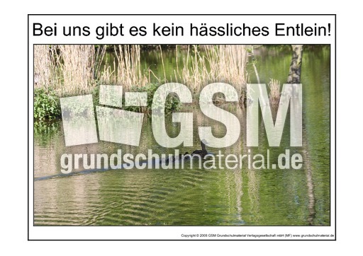 Hässliches-Entlein-1.pdf